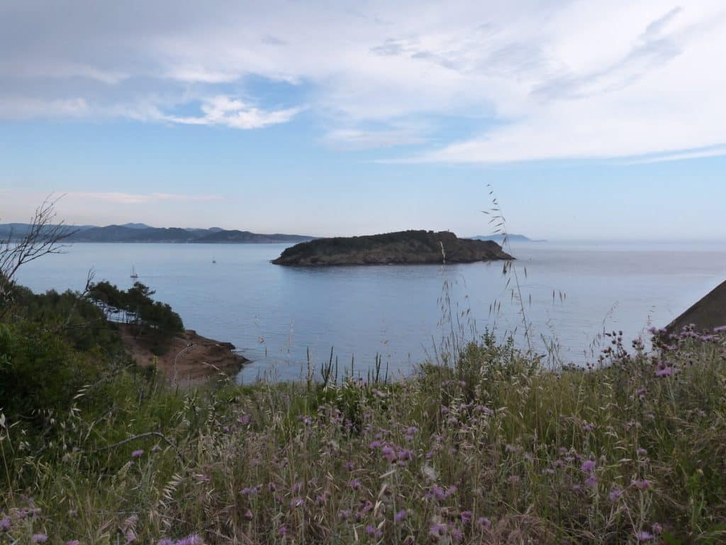 Échanges entre le CDOS 13 et les clubs sportifs locaux à La Ciotat